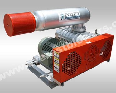 Twin Lobe Air Blower